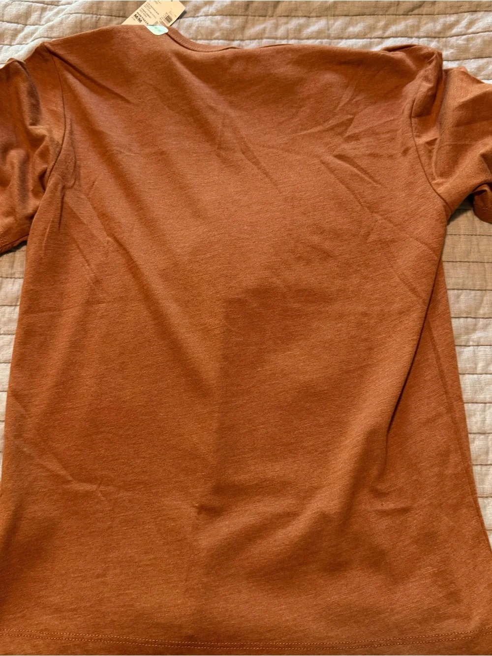 NWT The Children's Place Brown Dinosaur Graphic Short Sleeve Tee